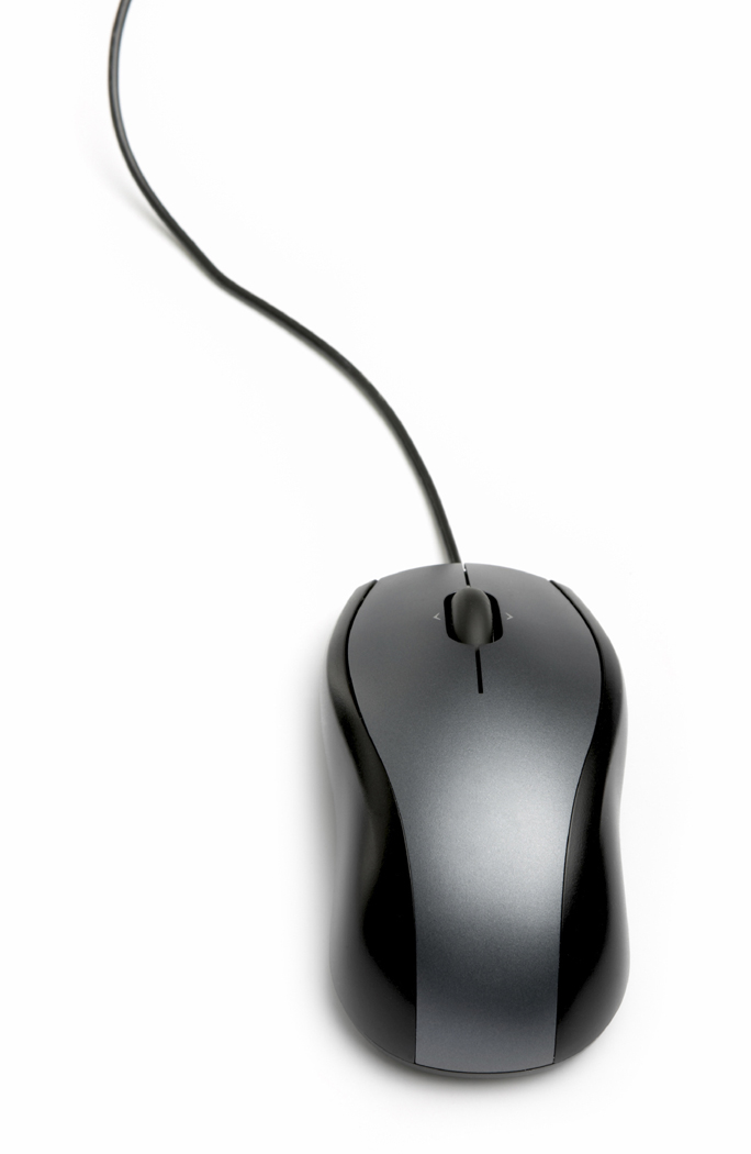 mouse